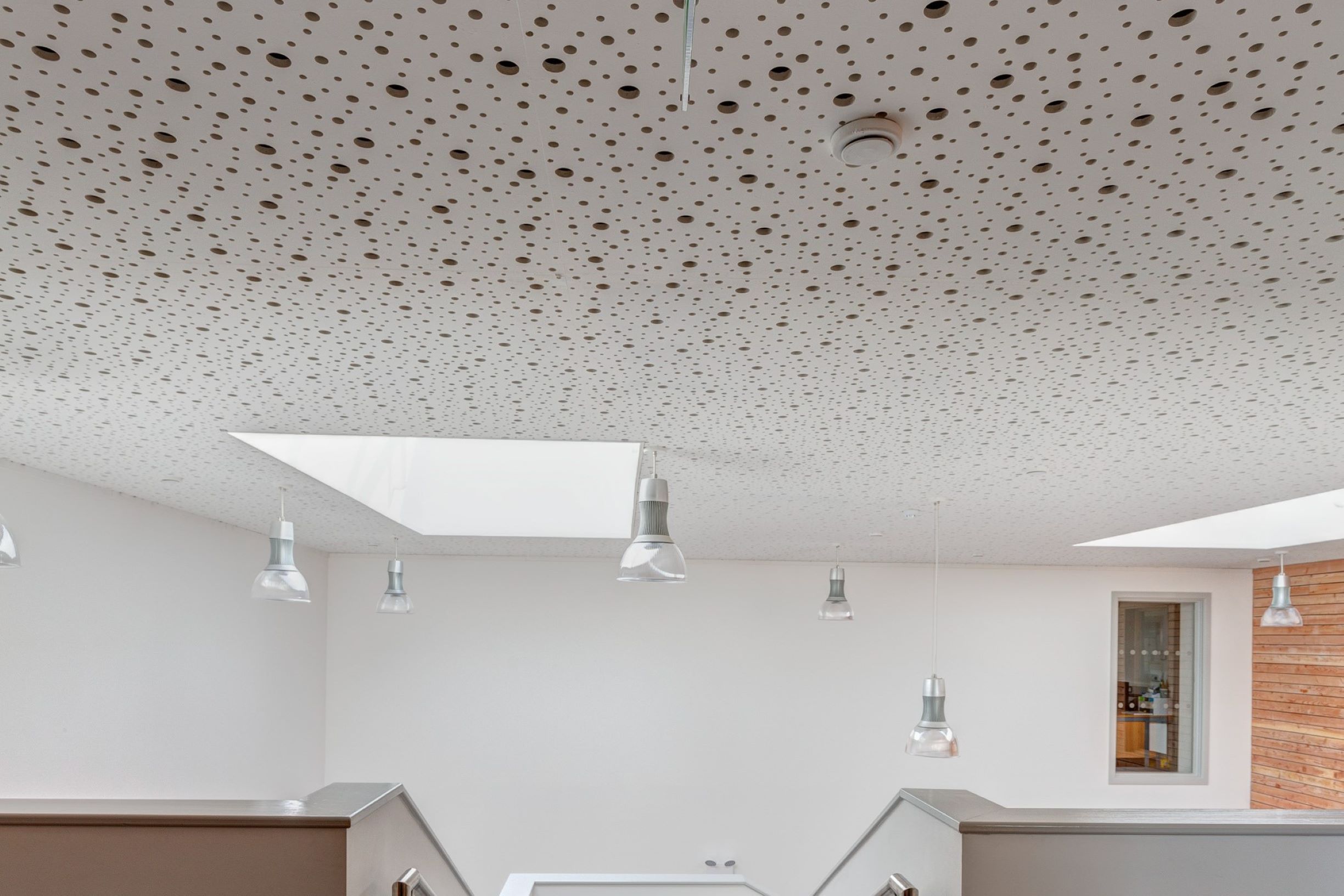 VoglFuge Perforated Plasterboard