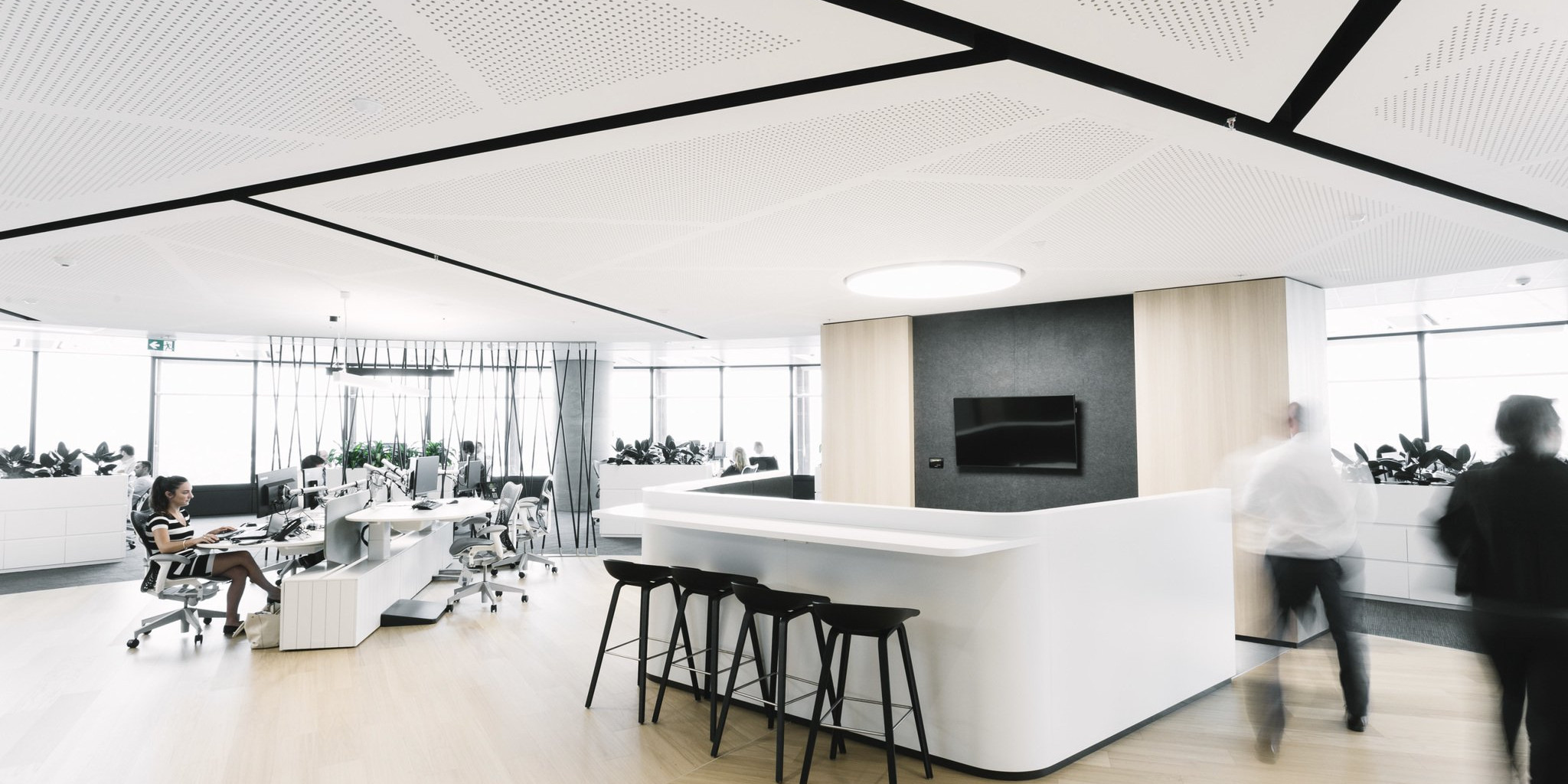 VoglFuge Perforated Plasterboard